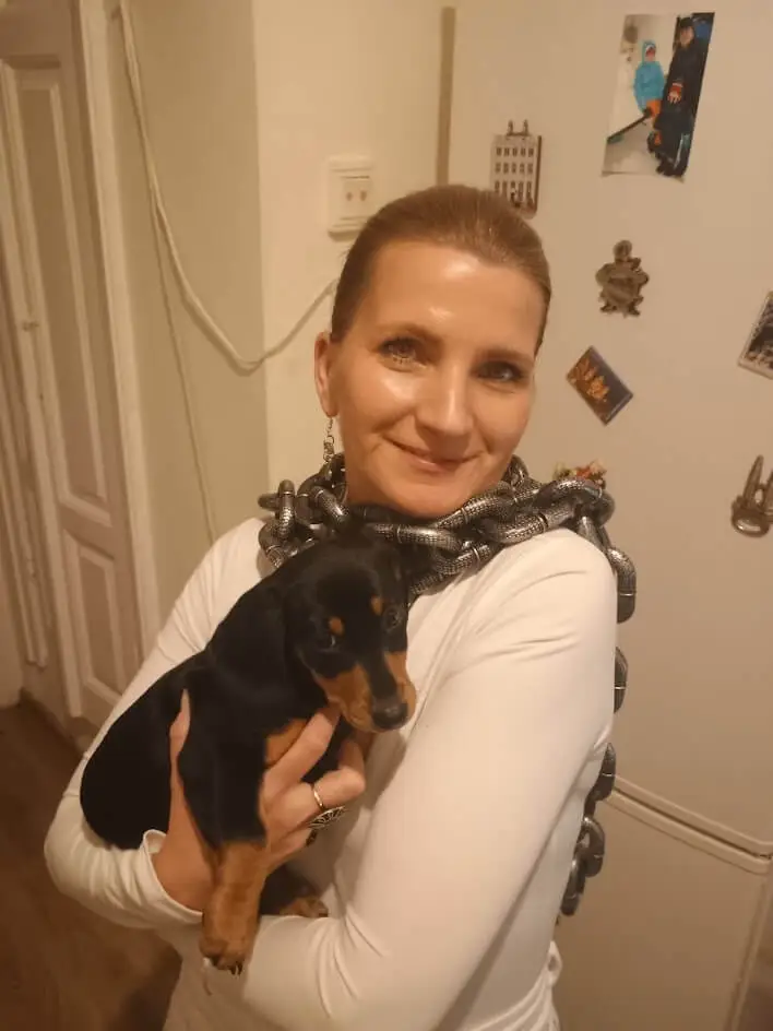 Pet Dog